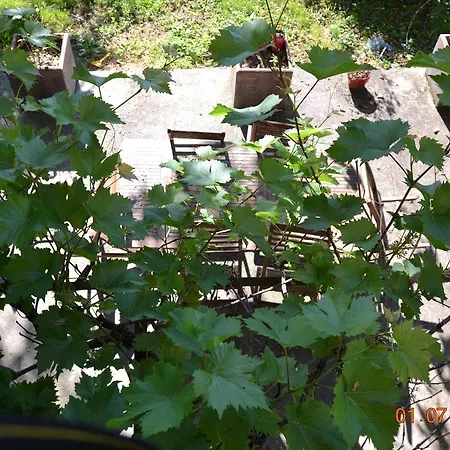 D'hotes Les Lilas